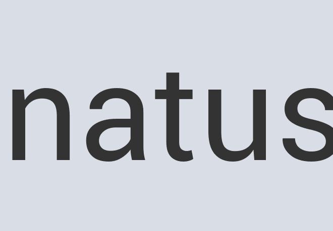 Awesome Bronze Salud!