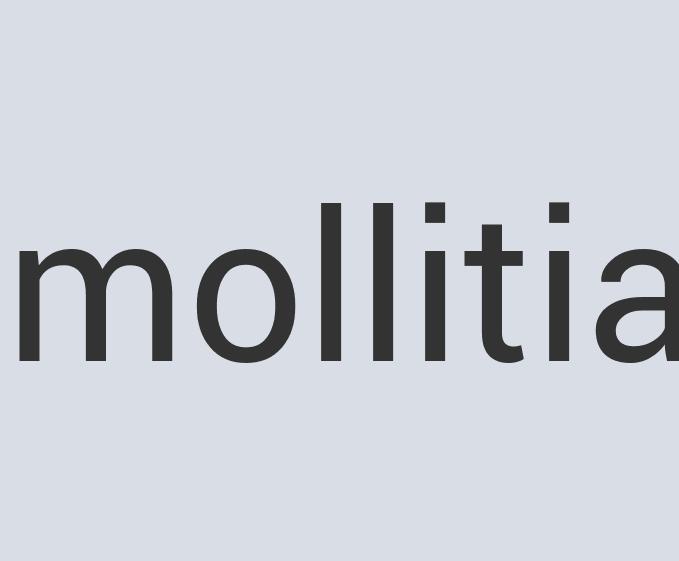 Enormous Marble Camus the Killer Tale