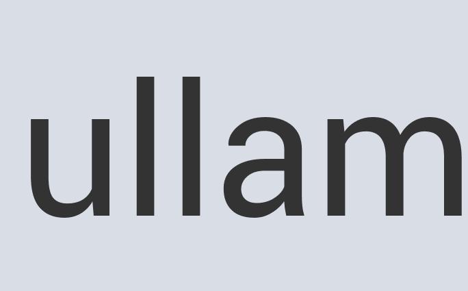 Sleek Steel Phone Shui