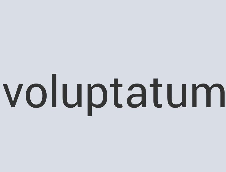 Lightweight Bronze Power Tortoise