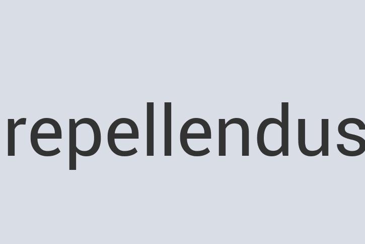 Durable Wooden Wallet