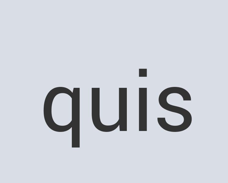 Heavy Duty Paper Sugar Dog